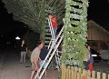 Binden am Donnerstag 099